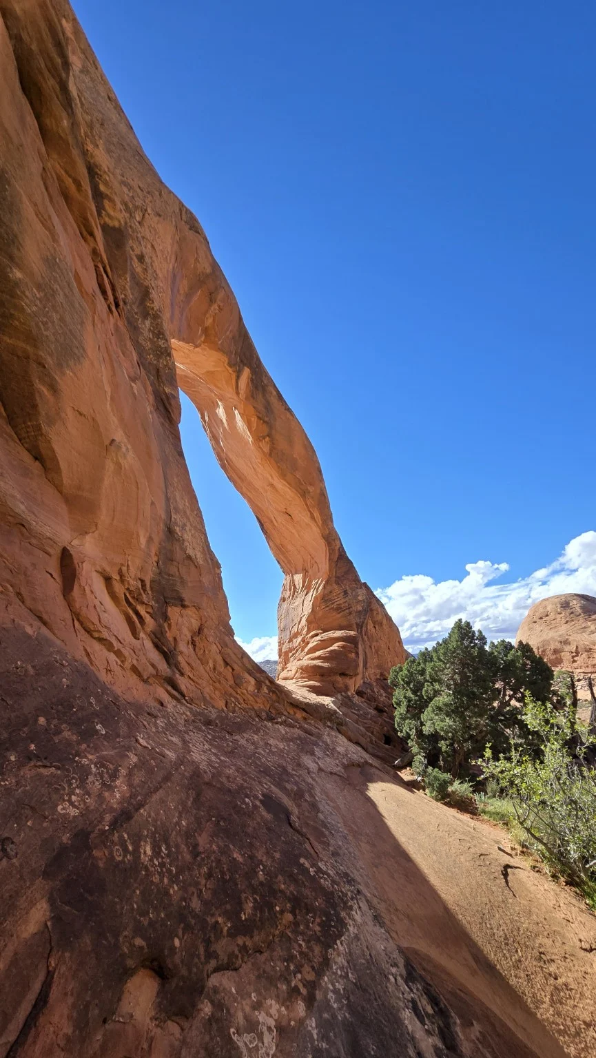 A sandstone arch rising above a narrow desert trail