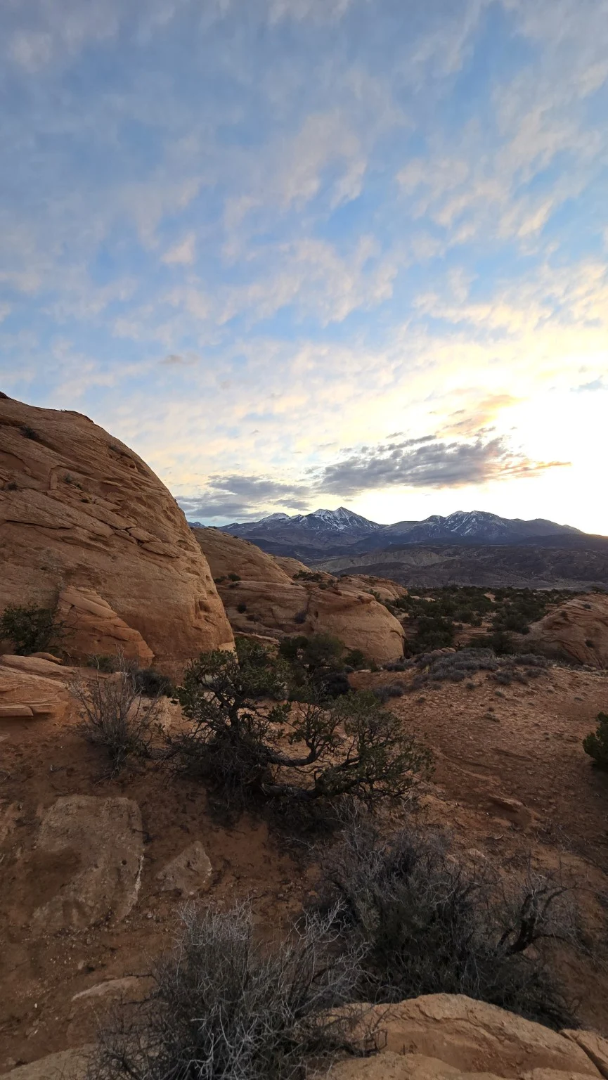 Sandstone domes and distant snow-dusted mountains